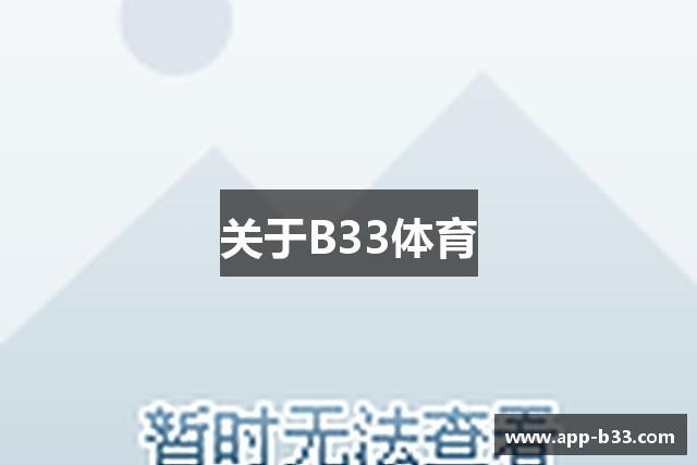 关于B33体育